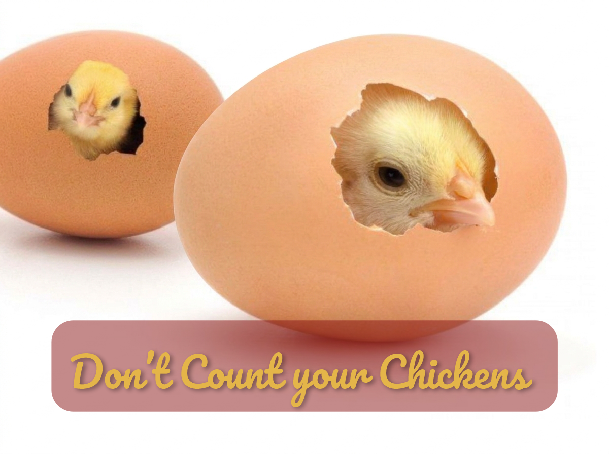 Don’t Count your Chickens before They Hatch