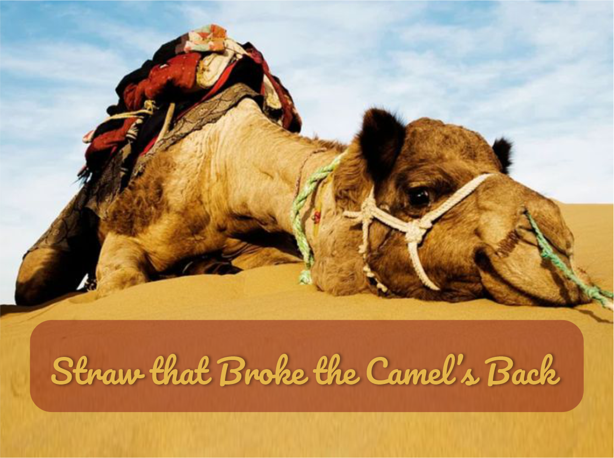 The Straw that Broke the Camel’s Back