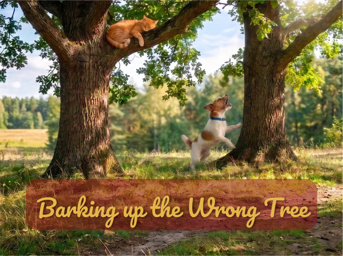 You’re Barking up the Wrong Tree